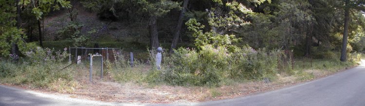 Forks Cemetery photo