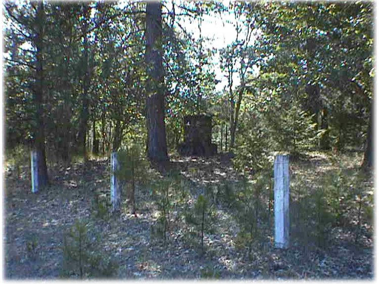 Crystal Creek Cemetery photo