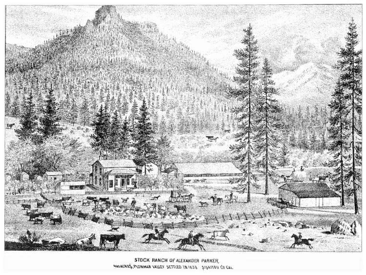 Alexander Parker Ranch sketch